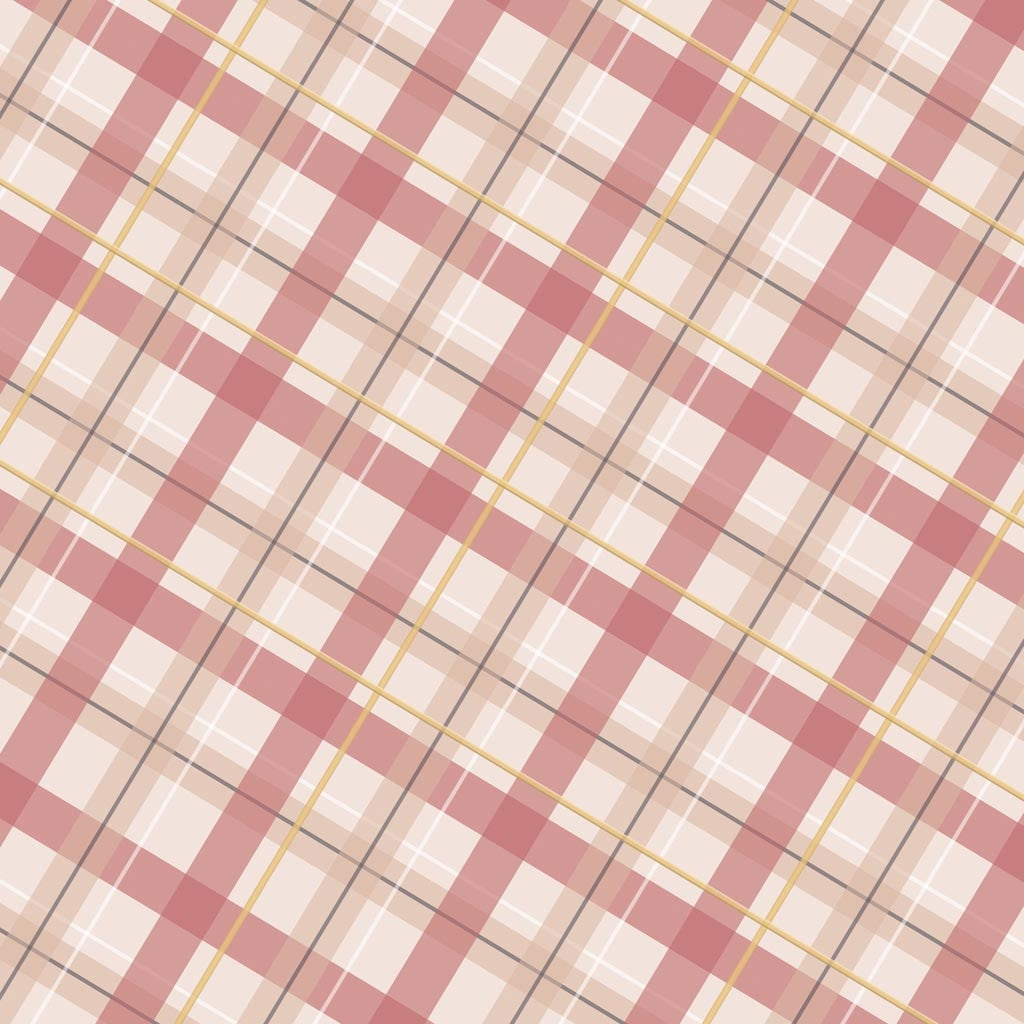 Pretty In Plaid - US 2516